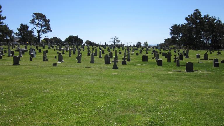 Section_of_Holy_Cross_Cemetery,_Colma_1